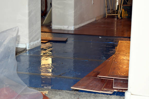 Professional Flood Damage Repair technician working in Horse Shoe, NC